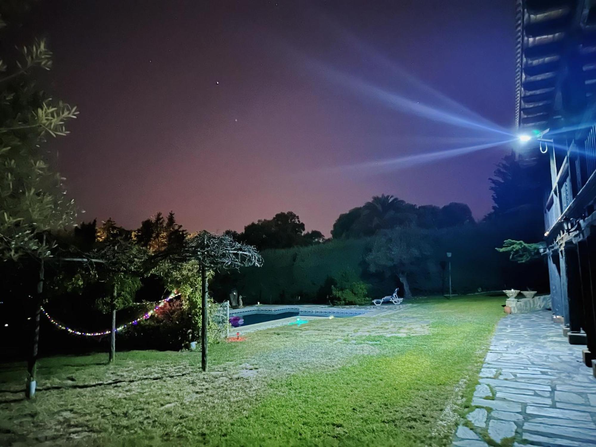 Tree House Daire Boadilla del Monte Dış mekan fotoğraf